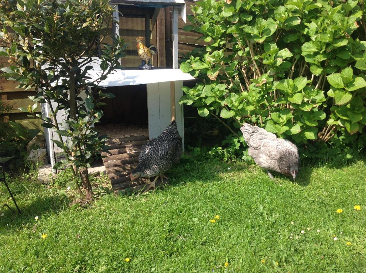 Le Jardin Des Poules Bed & Breakfast Thietreville ภายนอก รูปภาพ