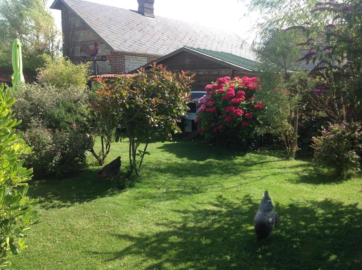 Le Jardin Des Poules Bed & Breakfast Thietreville ภายนอก รูปภาพ